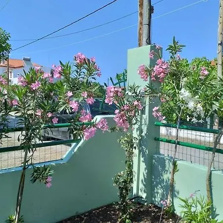 Apartment Lovely On The Agia Anna (Evia)
